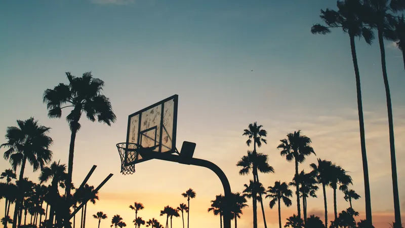 Un panier de basketball extérieur se découpe en ombre chinoise sur un ciel de coucher de soleil, entre de hauts palmiers.